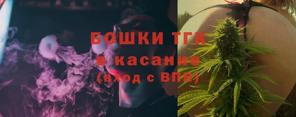 дмт Алзамай
