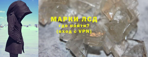 прущие грибы Покровск