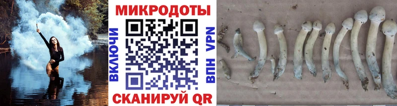 гидра рабочий сайт Десногорск Псилоцибиновые грибы Psilocybe